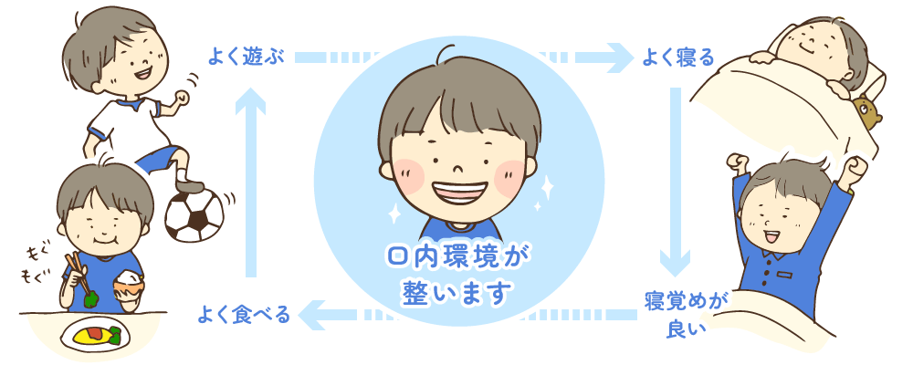 口腔機能育成の解説イラスト