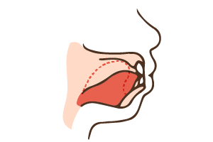 口内のイラスト