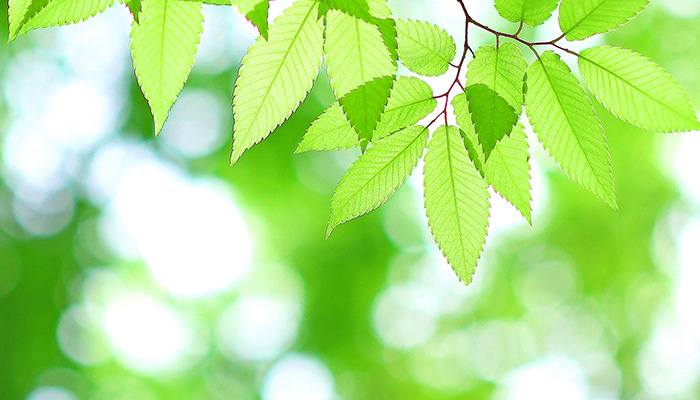 川崎市宮前平の歯医者 永沢デンタルクリニック ブログ