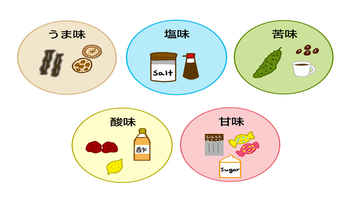 味覚の種類を解説するイラスト