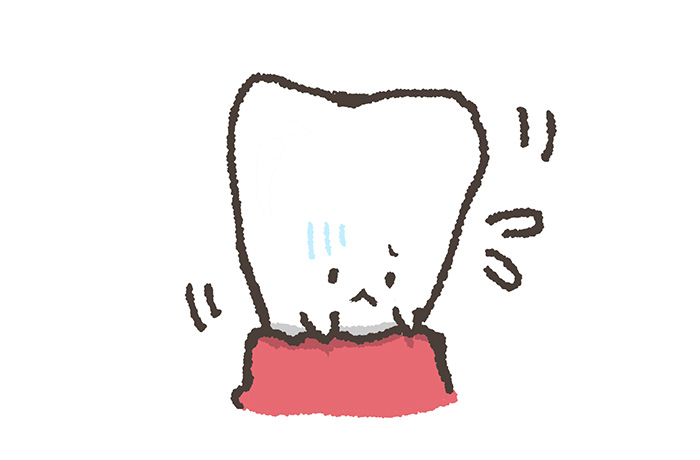 歯のイラスト