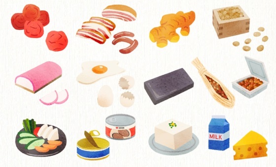 食べ物のイラスト