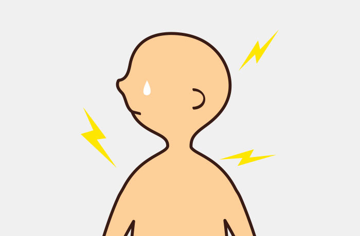 人体のイラスト