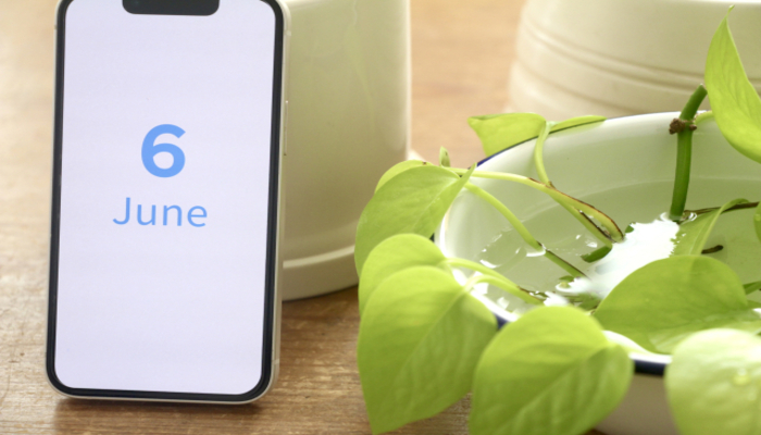 6月を示すスマホの写真