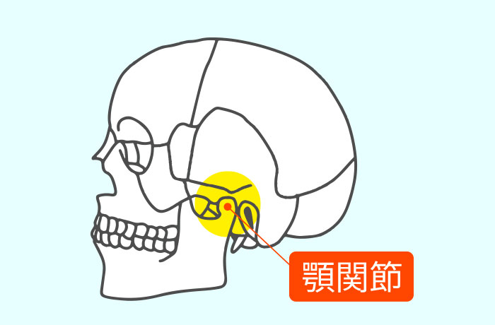 顎関節のイラスト